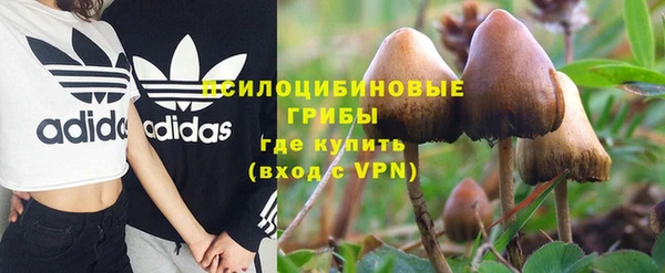 гидропоника Абдулино