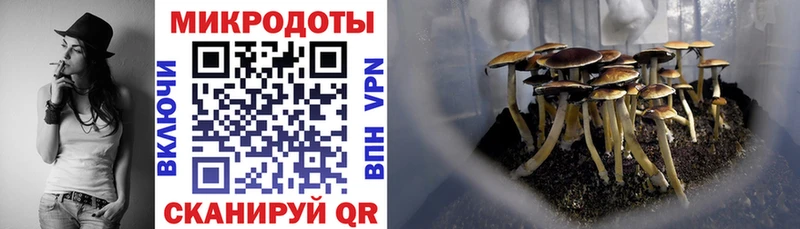 Галлюциногенные грибы GOLDEN TEACHER  где купить   Красновишерск 